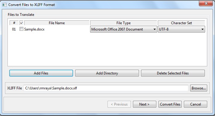 Convert File to XLIFF Format dialog